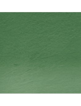 PROCOLOUR CEDAR GREEN 